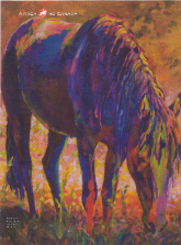 mangalarga marchador art article abccmm brasil